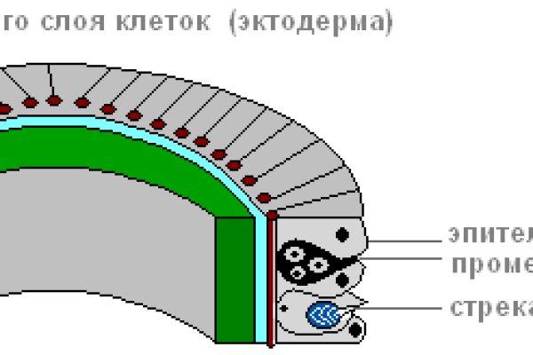 Заказать даркнет